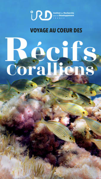 Image 0 for Rcifs coralliens