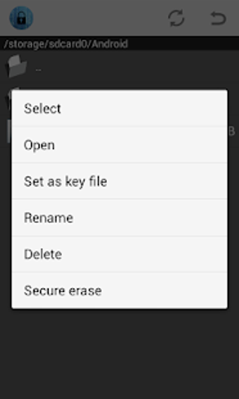 Imagen 2 para Crypt4All Lite (AES)