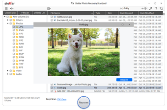 Image 0 for Stellar Photo Recovery St…