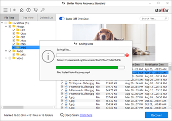 Imagen 0 para Stellar Photo Recovery St…