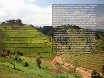 Image 3 for Discover Rwanda