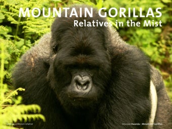 Image 0 for Discover Rwanda