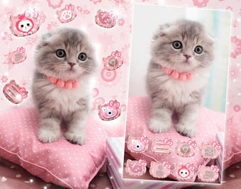 Imagen 3 para Cute Cat Live Launcher Th…