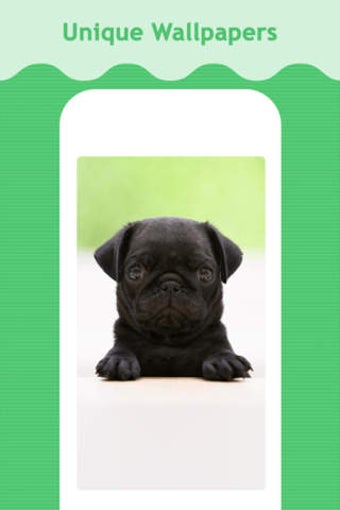 Image 0 for Puppy Wallpapers - Cute P…