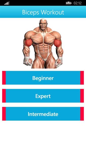 Image 2 for Biceps and Triceps Workou…