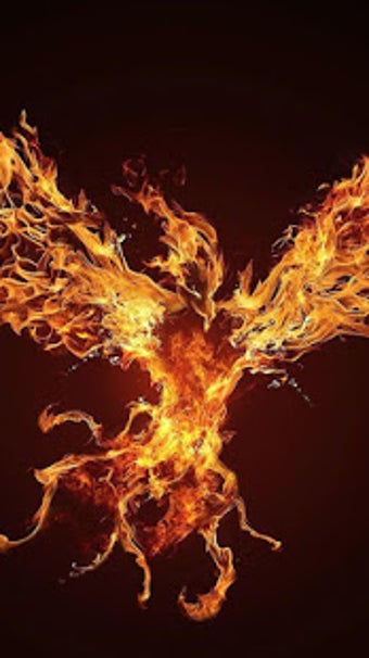 Image 0 for Phoenix Wallpapers
