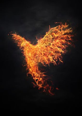 Imagen 2 para Phoenix Wallpapers