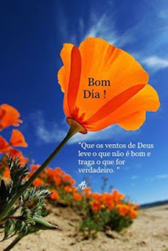 Imagen 2 para Boa Noite Bom Dia Imagens…
