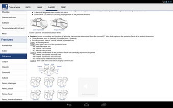 Image 3 for Ortho Traumapedia