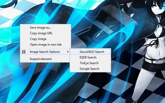 Image 0 for Image Search Options