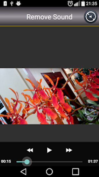 Image 2 for Video Editor