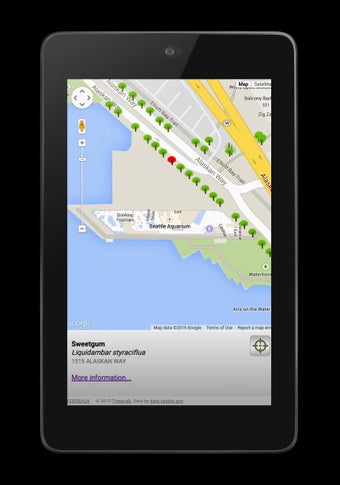 Image 0 for TreeWalk / Seattle