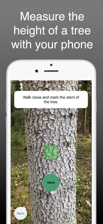 Image 1 for Arboreal - Height of tree