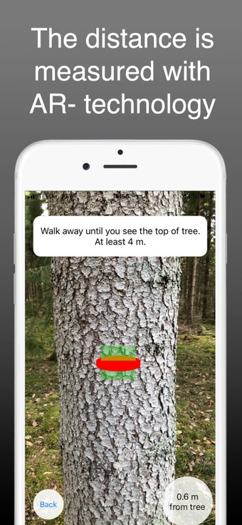 Image 2 for Arboreal - Height of tree