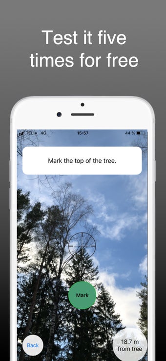 Image 3 for Arboreal - Height of tree