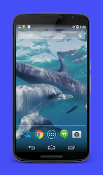 Image 3 for Dolphins Video Live Wallp…