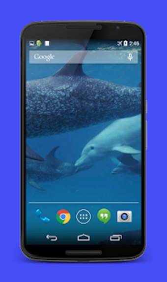 Image 0 for Dolphins Video Live Wallp…