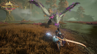 Image 1 for MONSTER HUNTER OUTLANDERS