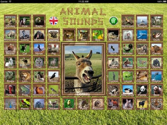Image 0 for Animal Sounds HD