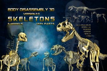 Image 4 for Body Disassembly 3D