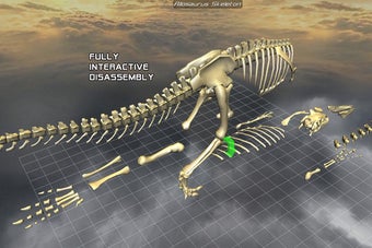 Image 7 for Body Disassembly 3D