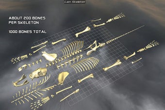 Image 3 for Body Disassembly 3D