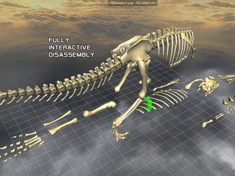 Image 5 for Body Disassembly 3D