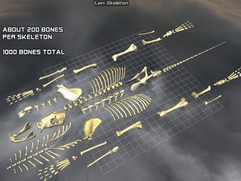 Image 6 for Body Disassembly 3D