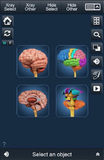Imagen 3 para My Brain Anatomy