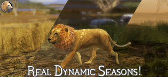 Image 2 for Ultimate Lion Simulator 2