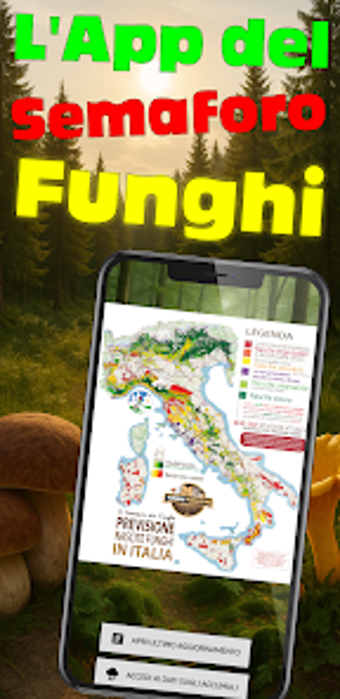 Image 0 for Semaforo dei Funghi