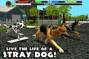 Image 0 for Stray Dog Simulator