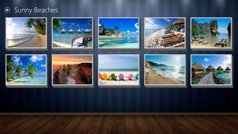 Imagen 2 para Jigsaw Puzzle Premium for…