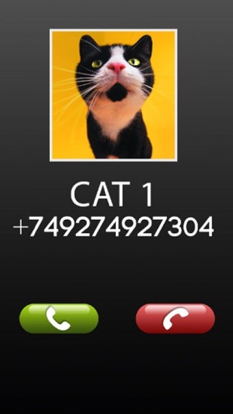 Image 1 for Fake Call Cat Prank