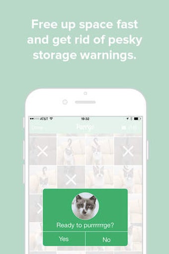 Image 0 for Purrge