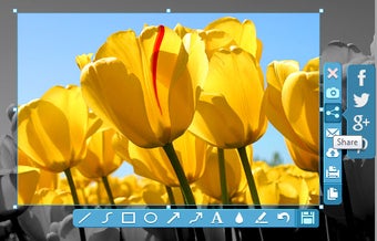Image 0 for Apowersoft Free Screen Ca…