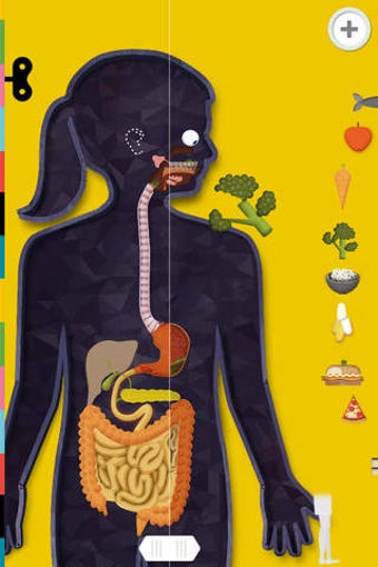 Image 0 for The Human Body by Tinybop