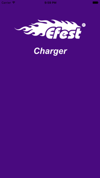 Image 2 for Efest Charger