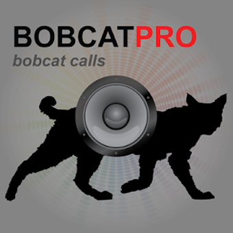 Image 1 for Bobcat Calls - Bobcat Sou…