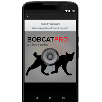 Image 0 for Bobcat Calls - Bobcat Sou…