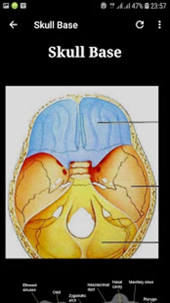 Imagen 0 para Atlas of CT Anatomy