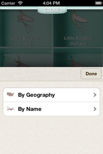 Image 3 for FlyBox