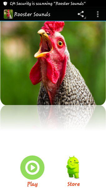 Image 1 for Rooster Sounds