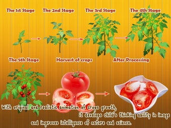 Imagen 1 para Baby Plants Vegetables