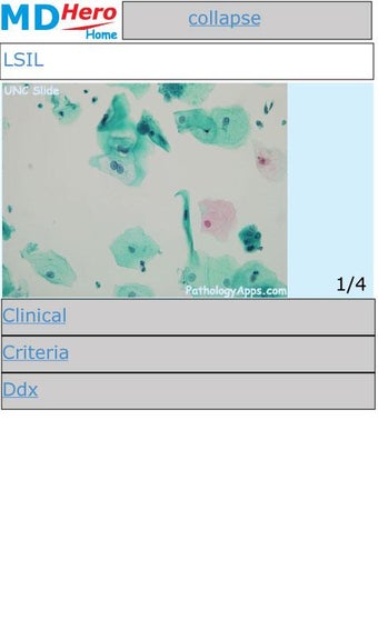 Image 0 for Cytology