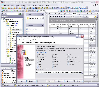 Imagen 0 para EMS SQL Manager for Inter…