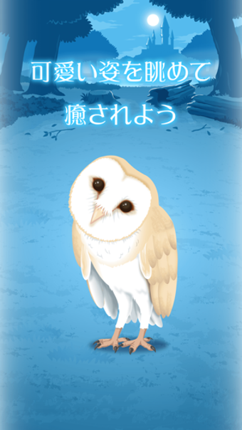 Image 2 for Owl Simulation Game