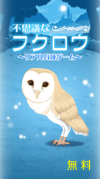 Image 1 for Owl Simulation Game