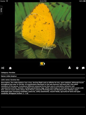 Imagen 6 para Butterfly Encyclopedia
