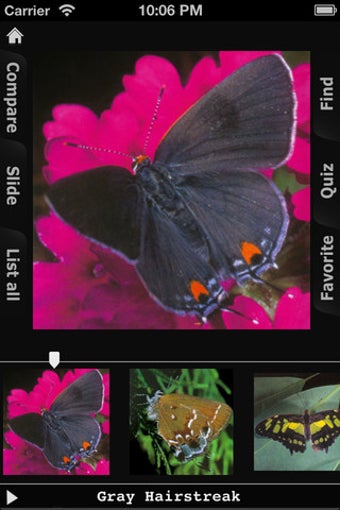 Imagen 7 para Butterfly Encyclopedia